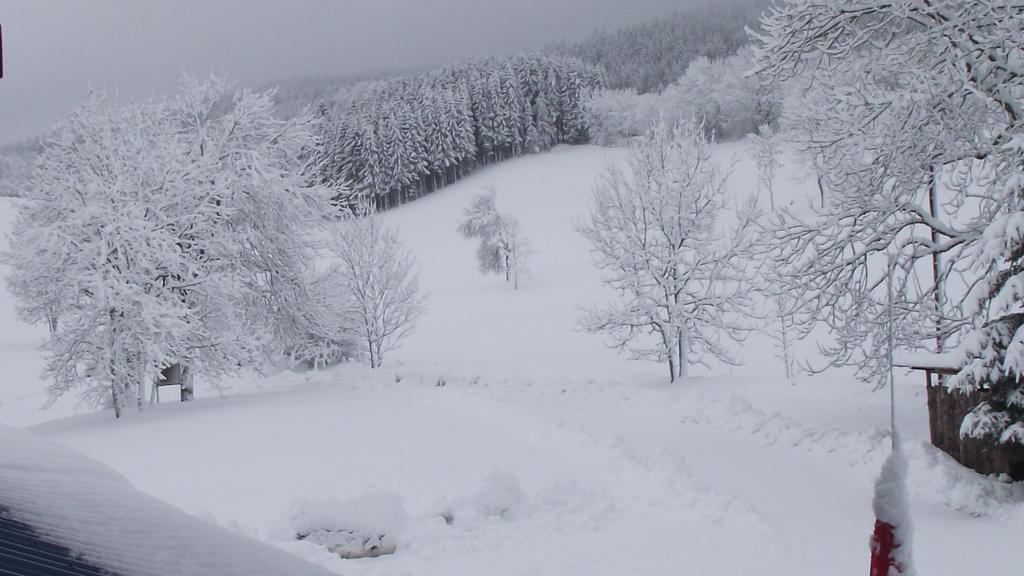 Hotel Le Grand Chalet Foncine-le-Haut 외부 사진