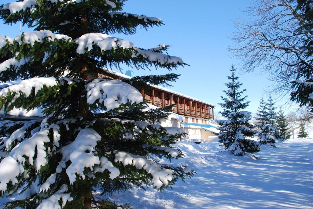 Hotel Le Grand Chalet Foncine-le-Haut 외부 사진